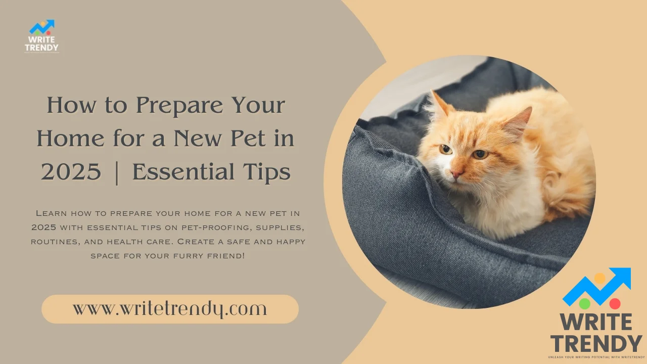 How to Prepare Your Home for a New Pet in 2025  Essential Tips.webp