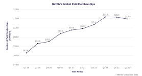 Netflix Achieves Success in Password Protection Case: Significant Increase in Subscribers in the United States