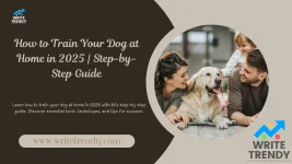 How to Train Your Dog at Home in 2025 | Step-by-Step Guide