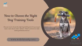 How to Choose the Right Dog Training Tools